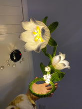FL002