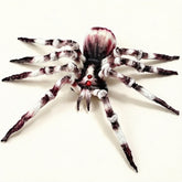 Handmade Giant Spider Halloween Decor & Cosplay Prop