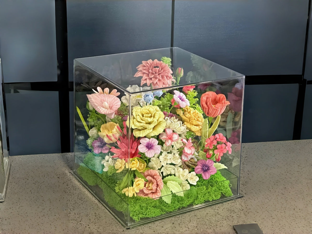 Acrylic Display Boxes