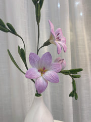 FA006