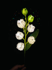 FL001
