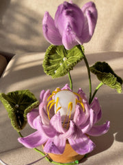 FL005