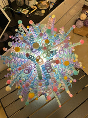 FL006